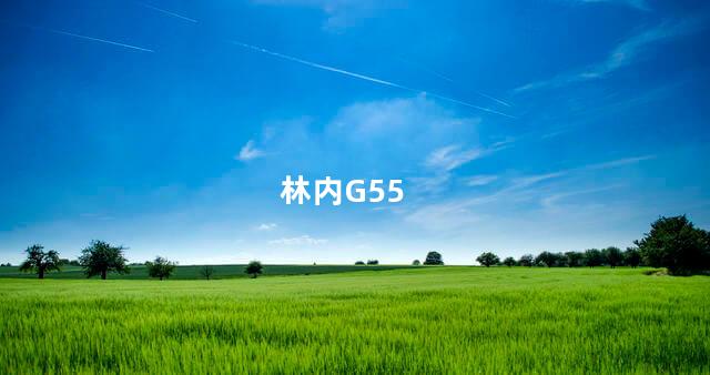林内G55