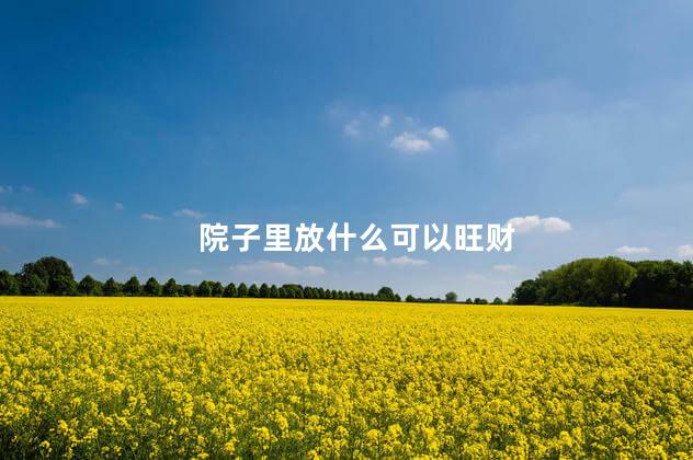 院子里放什么可以旺财