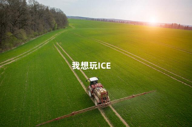 我想玩ICE