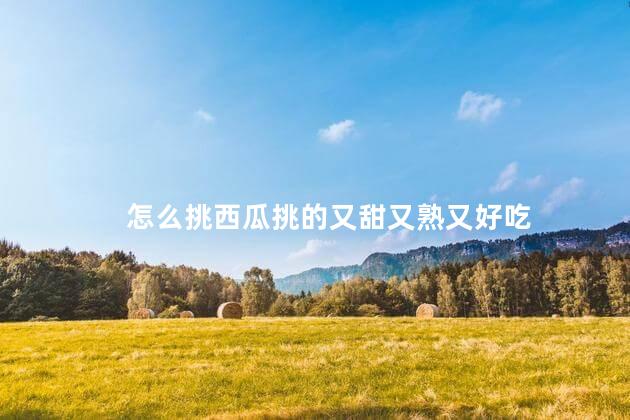 怎么挑西瓜挑的又甜又熟又好吃
