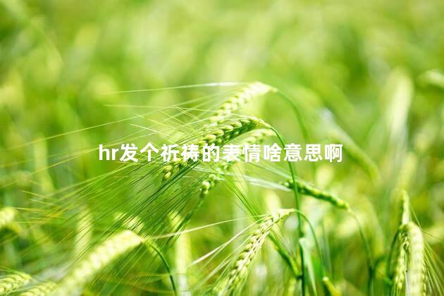 hr发个祈祷的表情啥意思啊