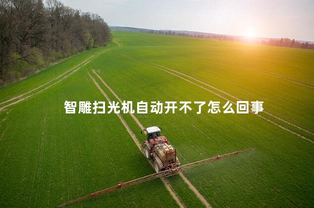 智雕扫光机自动开不了怎么回事