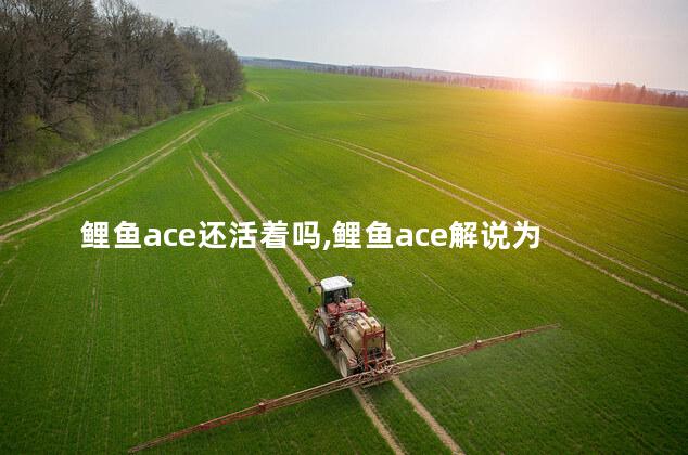 鲤鱼ace还活着吗,鲤鱼ace解说为什么不更新视频了呢