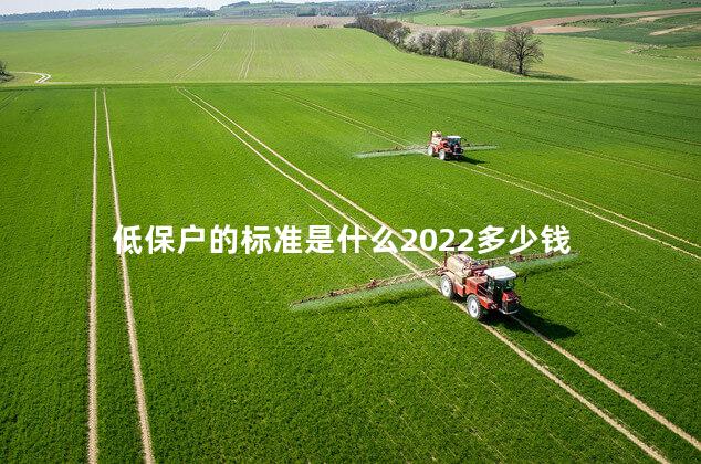 低保户的标准是什么2022多少钱