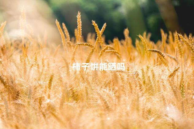 柿子饼能晒吗