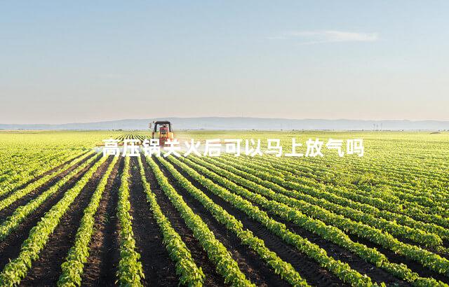 高压锅关火后可以马上放气吗
