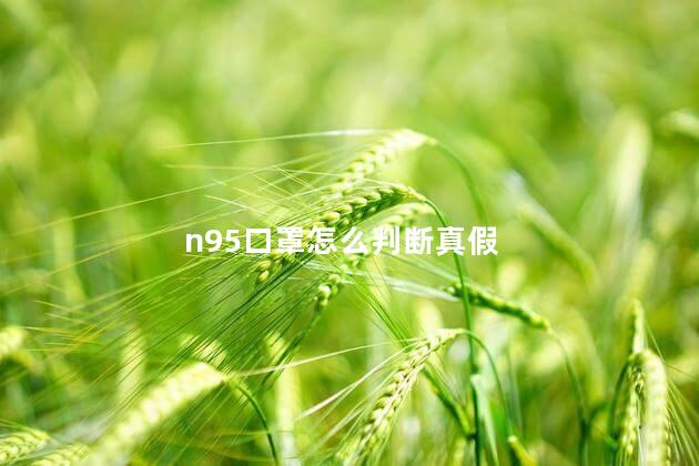 n95口罩怎么判断真假