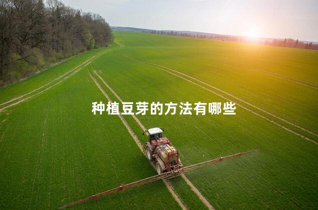 种植豆芽的方法有哪些