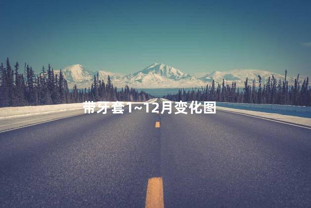 带牙套1~12月变化图