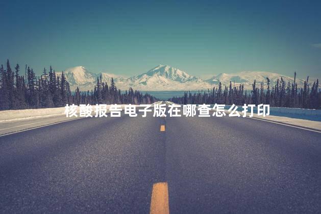 核酸报告电子版在哪查怎么打印