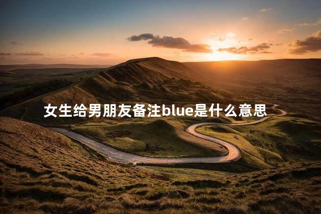 女生给男朋友备注blue是什么意思