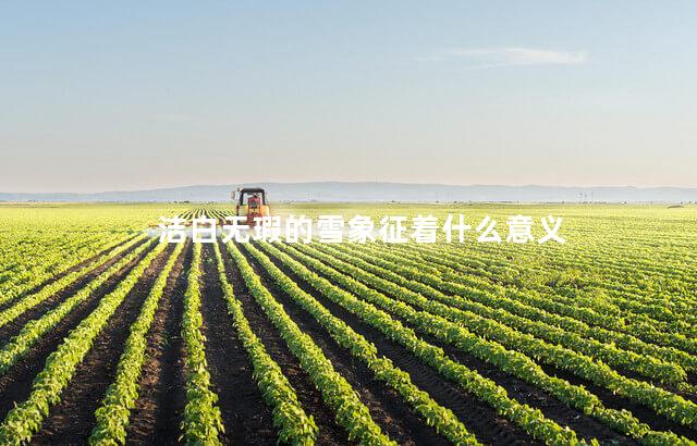 洁白无瑕的雪象征着什么意义