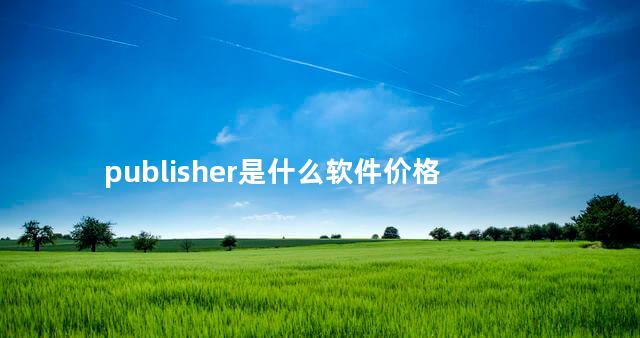 publisher是什么软件价格