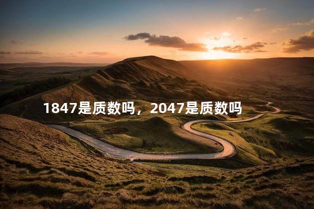 1847是质数吗，2047是质数吗
