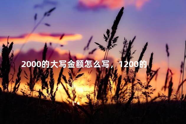 2000的大写金额怎么写，1200的大写金额怎么写