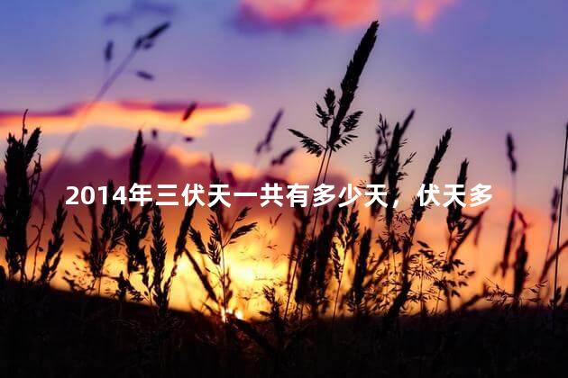 2014年三伏天一共有多少天，伏天多少天2021年