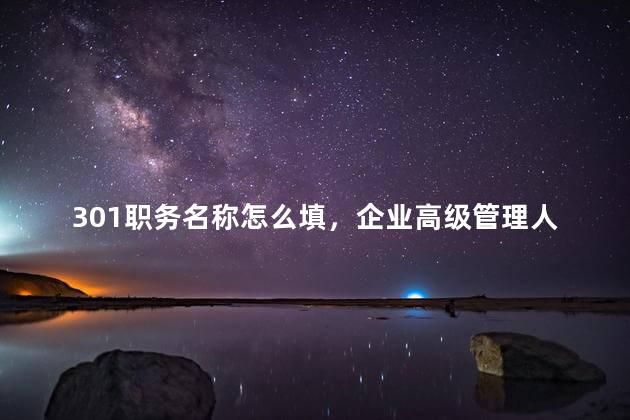 301职务名称怎么填，企业高级管理人员职务名称怎么填