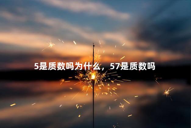 5是质数吗为什么，57是质数吗