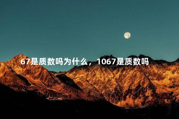 67是质数吗为什么，1067是质数吗