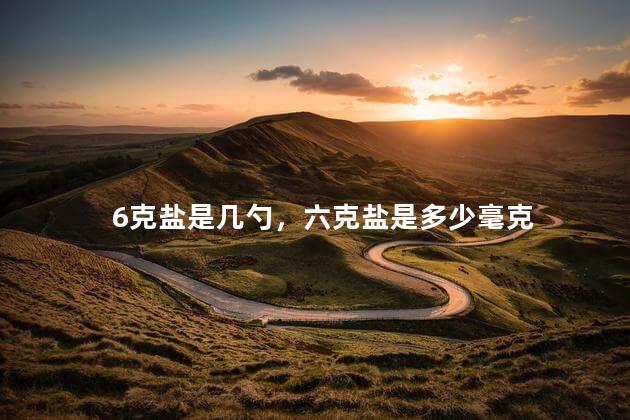6克盐是几勺，六克盐是多少毫克