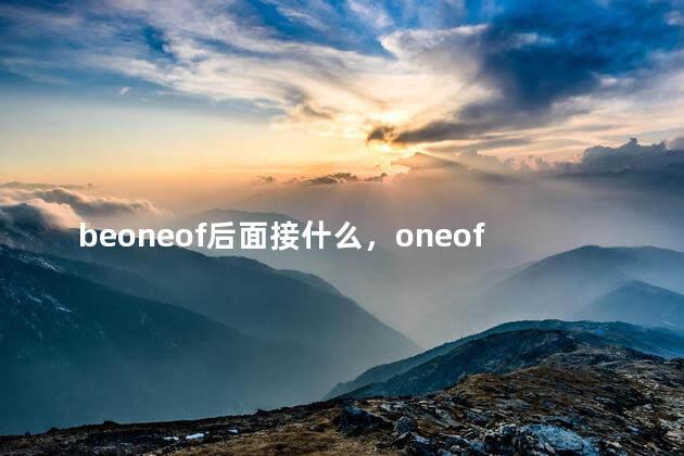 beoneof后面接什么，oneof后面接什么词