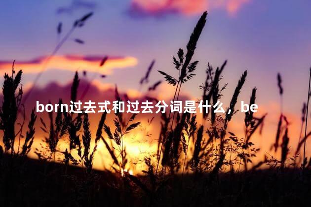 born过去式和过去分词是什么，bear的过去式过去分词