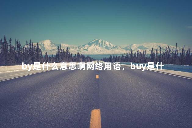 by是什么意思啊网络用语，buy是什么意思