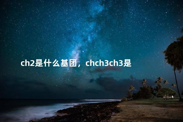 ch2是什么基团，chch3ch3是什么基团