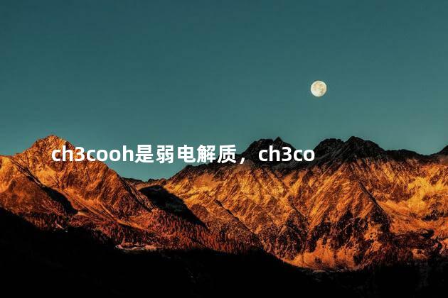 ch3cooh是弱电解质，ch3coona是电解质吗