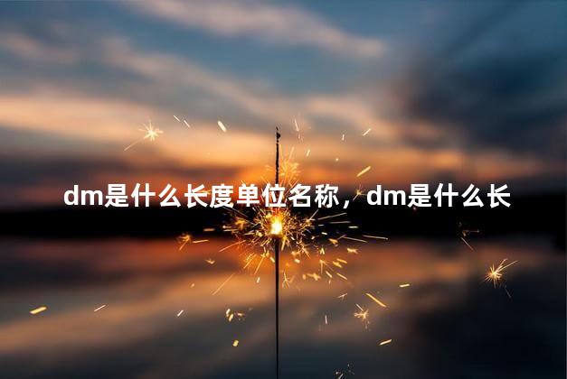 dm是什么长度单位名称，dm是什么长度单位意思