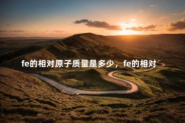 fe的相对原子质量是多少，fe的相对原子质量初中取多少