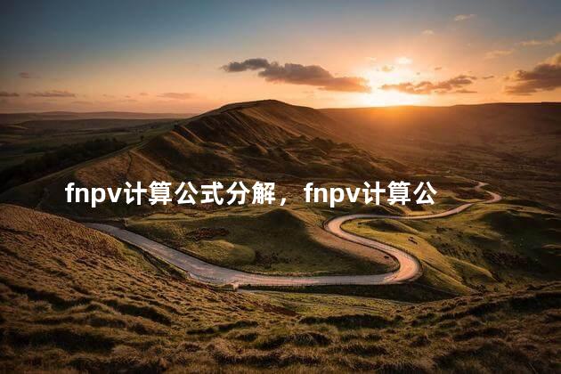 fnpv计算公式分解，fnpv计算公式怎么算