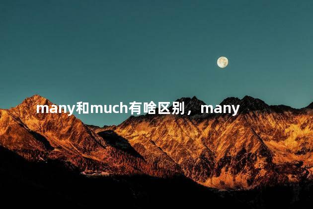 many和much有啥区别，many 和 much的区别