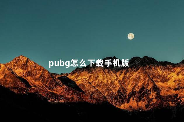 pubg怎么下载手机版