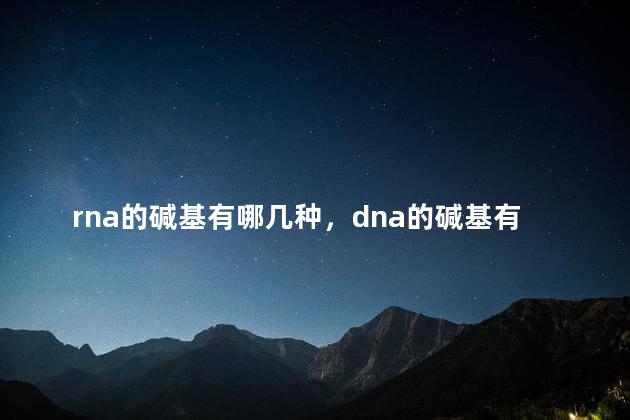 rna的碱基有哪几种，dna的碱基有哪几种缩写