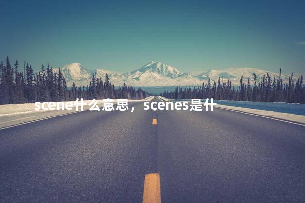 scene什么意思，scenes是什么意思