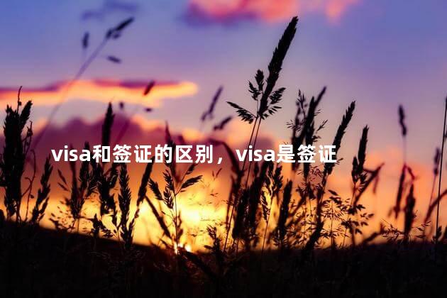 visa和签证的区别，visa是签证还是护照