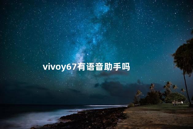 vivoy67有语音助手吗