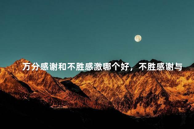 万分感谢和不胜感激哪个好，不胜感谢与万分感激的区别