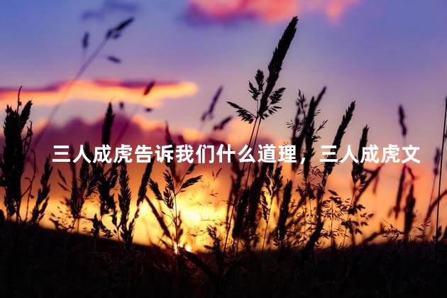 三人成虎告诉我们什么道理，三人成虎文言文翻译及寓意翻译