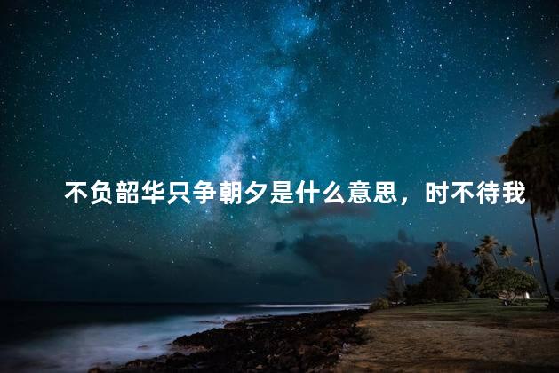 不负韶华只争朝夕是什么意思，时不待我,只争朝夕是什么意思