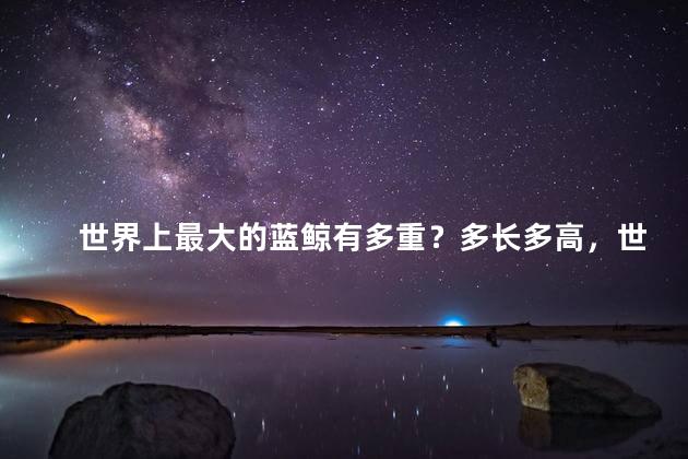 世界上最大的蓝鲸有多重？多长多高，世界上最大的蓝鲸有多重有多长