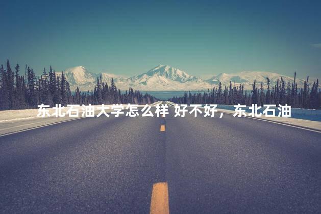 东北石油大学怎么样 好不好，东北石油大学怎么样知乎