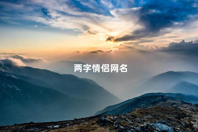 两字情侣网名