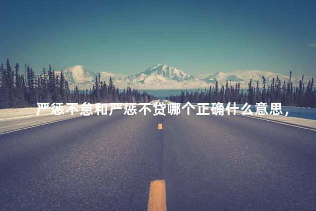 严惩不怠和严惩不贷哪个正确什么意思，严惩不怠和严惩不贷哪个正确生肖