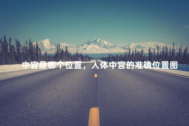 中宫是哪个位置，人体中宫的准确位置图解