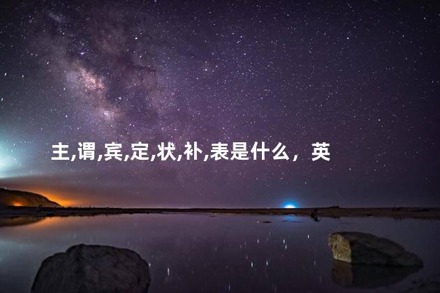 主,谓,宾,定,状,补,表是什么，英语状语修饰什么成分的动词
