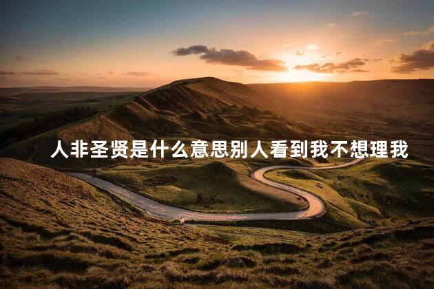 人非圣贤是什么意思别人看到我不想理我，人非圣贤是什么意思