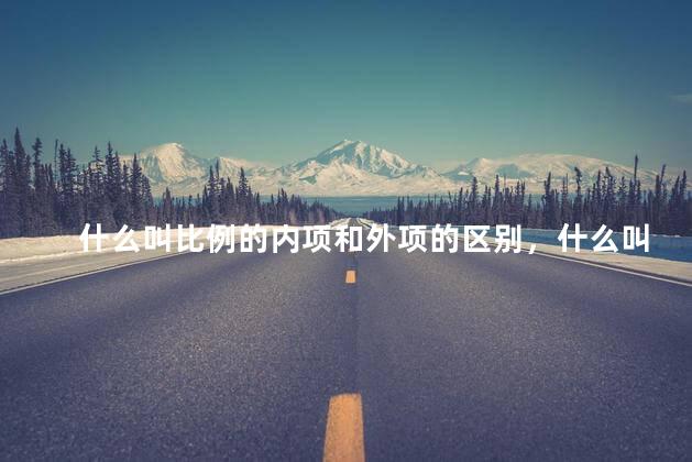 什么叫比例的内项和外项的区别，什么叫比例的内项和外项