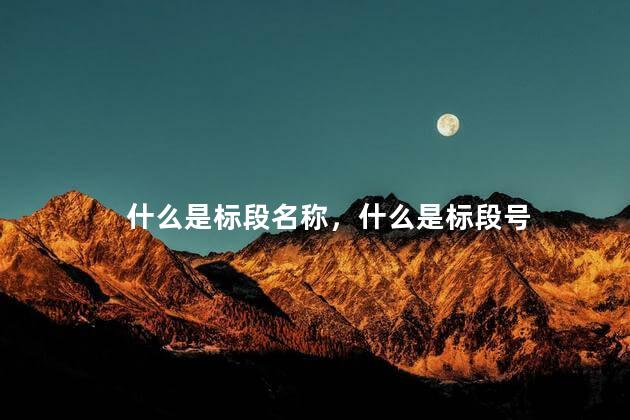 什么是标段名称，什么是标段号